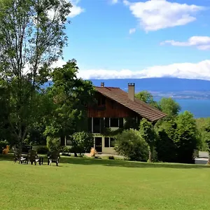Domaine De L'olifant Couette-café